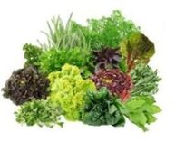 Vitamin b9 b9 untuk otak